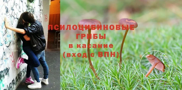 спайс Алзамай