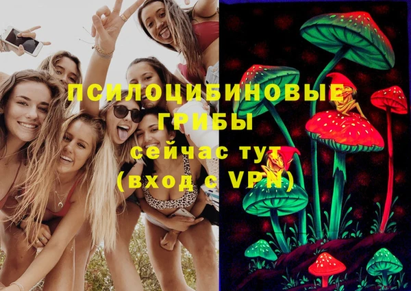 спайс Алзамай