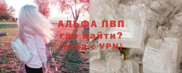 прущий лед Болотное