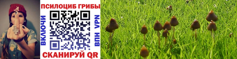 Псилоцибиновые грибы GOLDEN TEACHER  даркнет сайт  Жирновск 